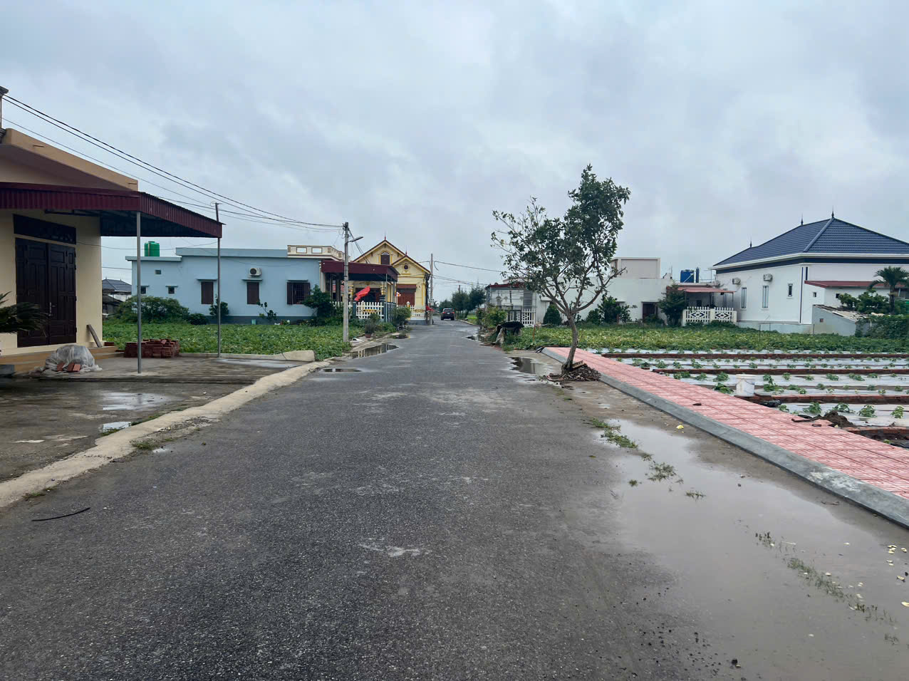 Đất nền Thị trấn Quất Lâm, Huyện Giao Thủy 2.4 tỷ – 100m² gần bãi tắm trung tâm, tiện kinh doanh – - Ảnh 2